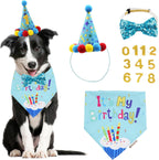 ADOGGYGO dog birthday set featuring blue plaid bandana and hat front view