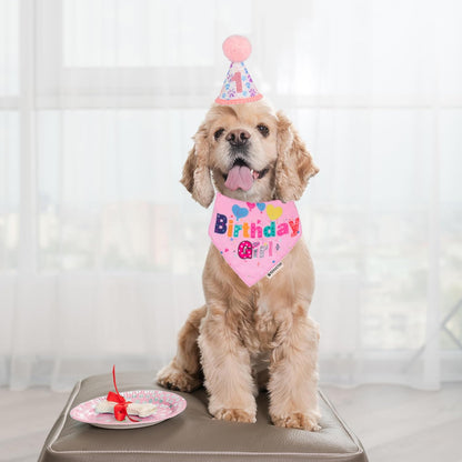 ADOGGYGO Birthday Girl soft pink dog bandana close up