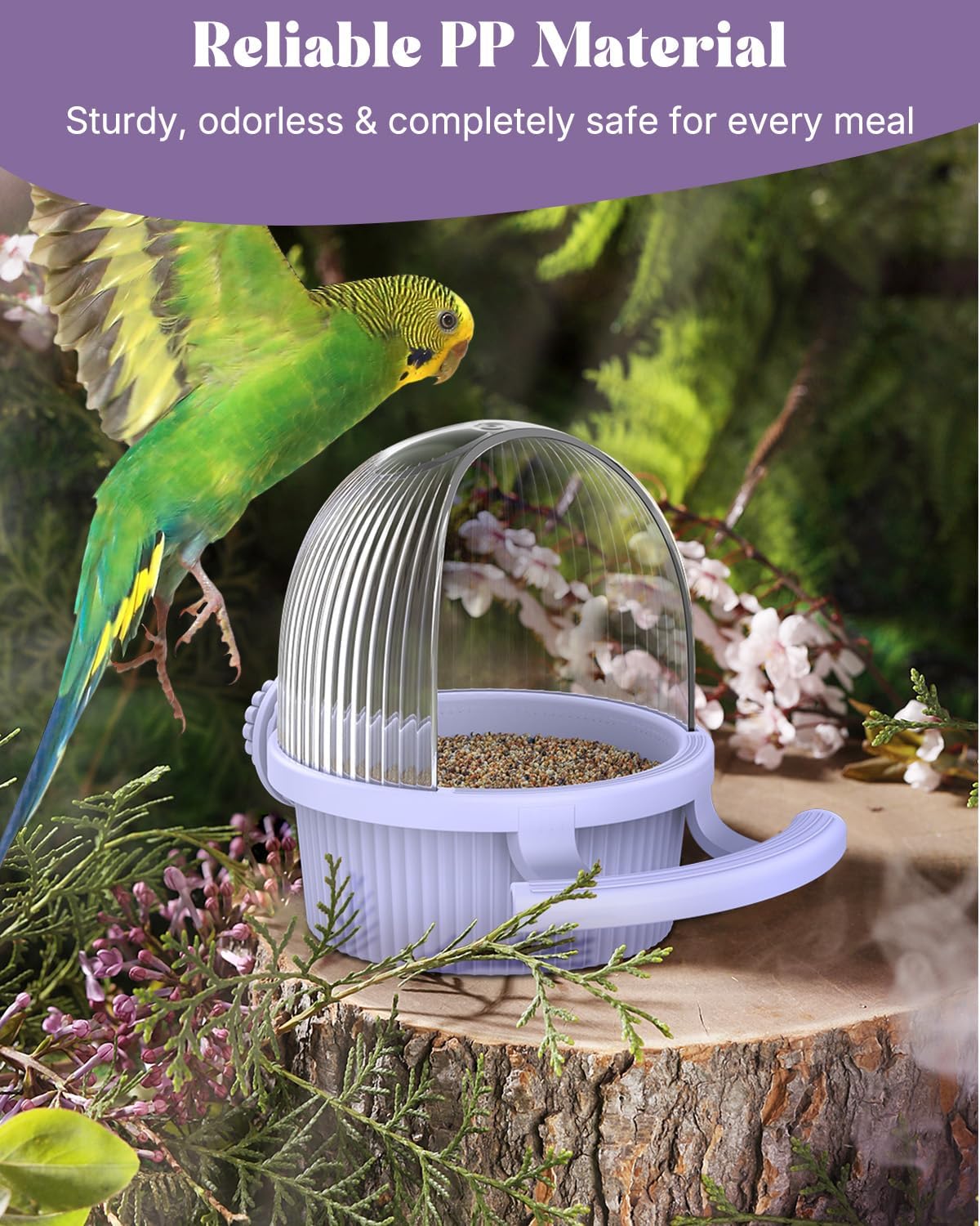 Parakeet feeding from Pawfly no mess bird bowl