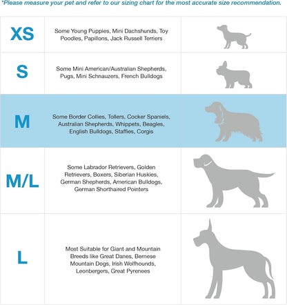 Blue-9 balance harness showing front leash attachment ring