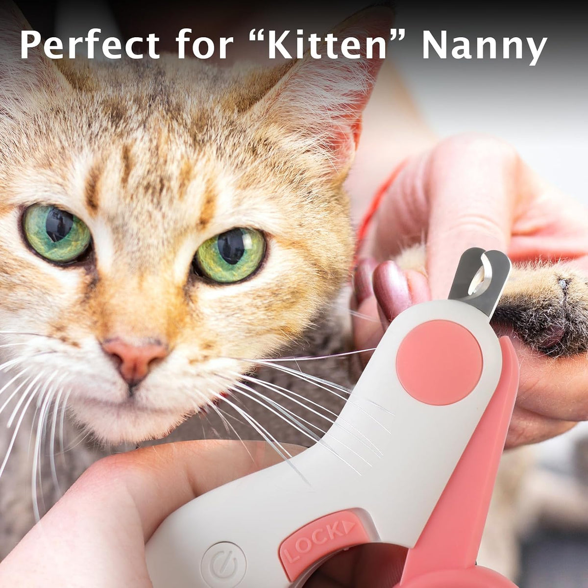 Small Animals Nail Clippers with LED Lights to Avoid Excessive Cutting and Sharp Blades - Professional Claw Trimmer for Tiny Dog Cat Kitten Bunny Rabbit Bird Guinea Pigs Ferret Hamsters (Pink) - Image 7
