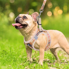PUPTECK Dog Harness and Leash Set for Small Medium Dogs No Pull Step-in Soft Mesh Puppy Cat Vest Harnesses Reflective at Night, Green S - Image 11