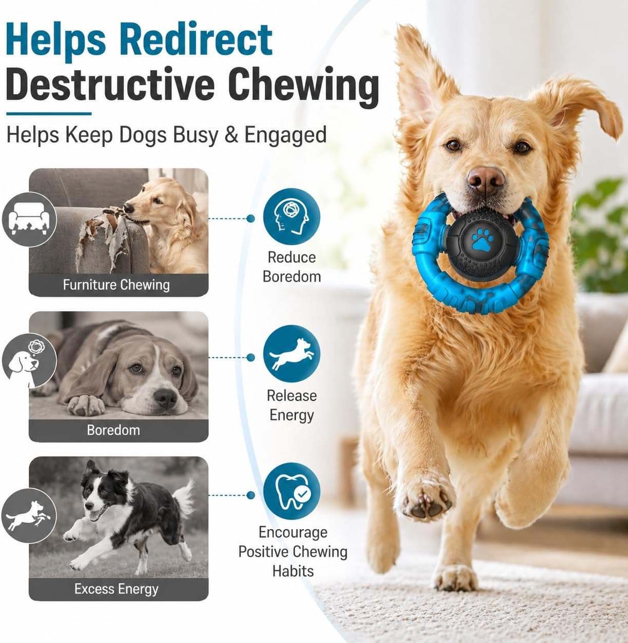 Authentic Pamlulu dog toy packaging