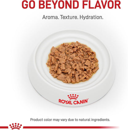 Royal Canin Feline Urinary SO wet cat food pack of twenty four three ounce cans retail box