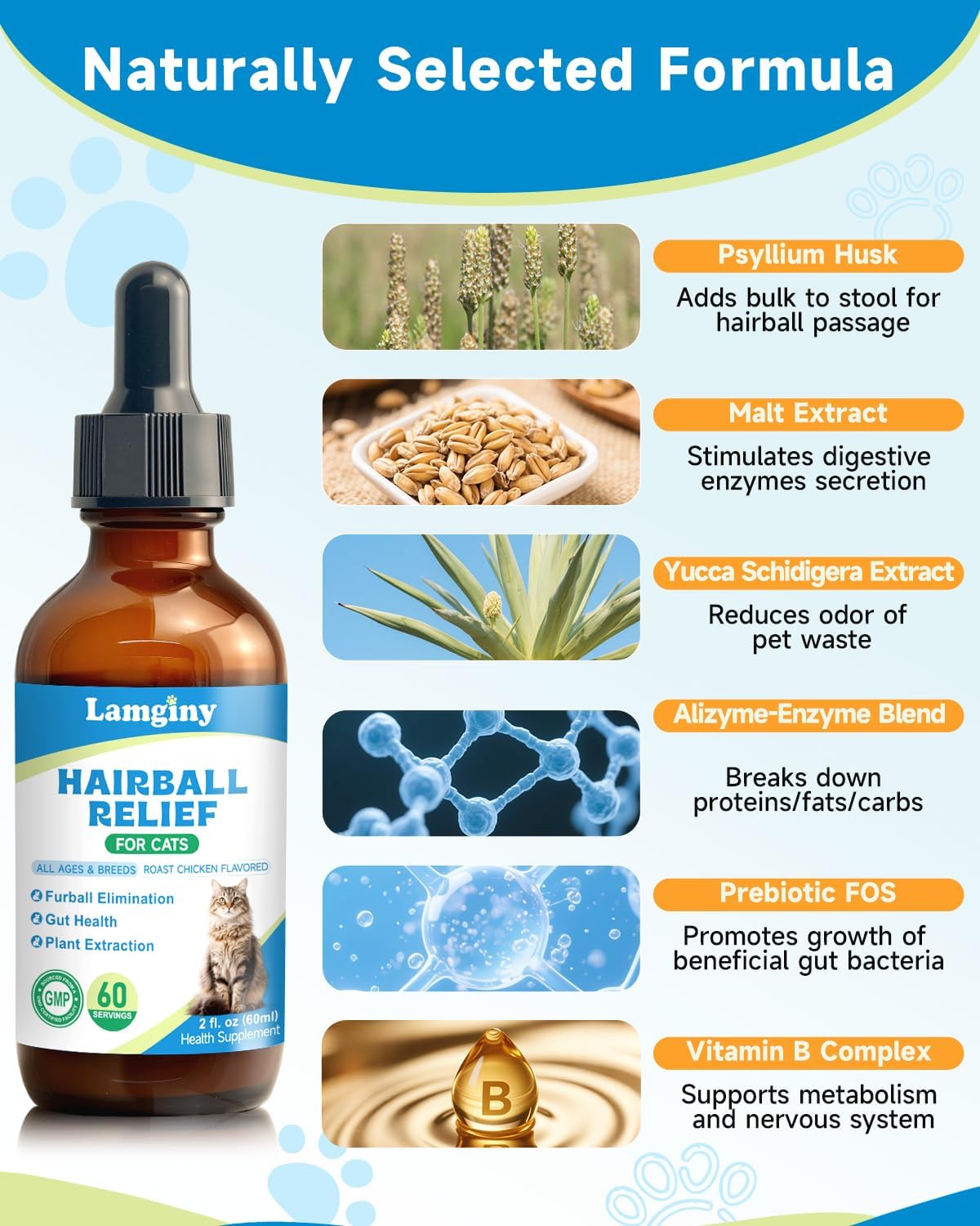 Natural fiber cat supplement with psyllium husk and pumpkin for hairball elimination