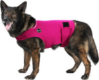Dog relaxing while wearing Kodervo anxiety relief jacket
