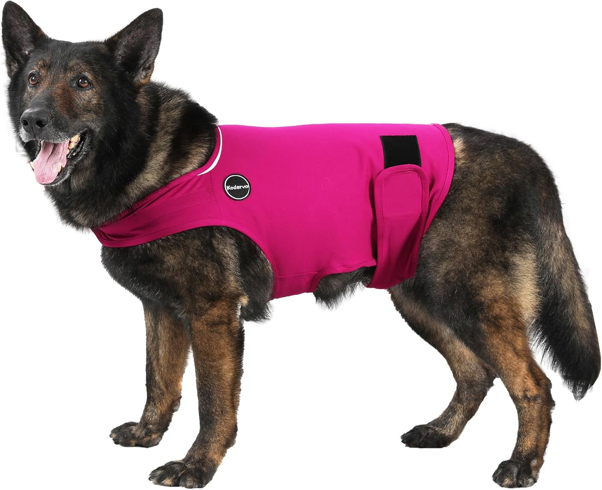 Dog relaxing while wearing Kodervo anxiety relief jacket
