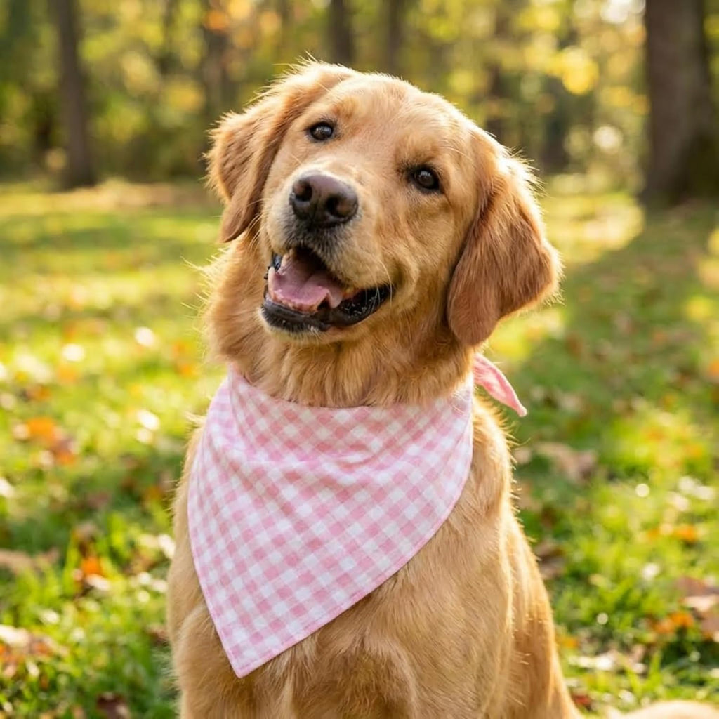Premium Valentine girl dog accessory in classic pink checkered pattern close up.