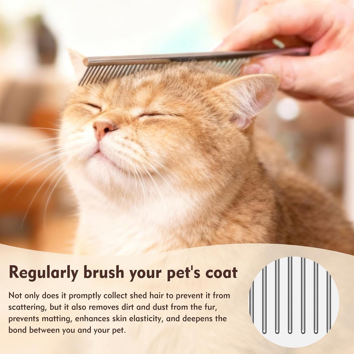 Professional pet grooming tool set for all fur types