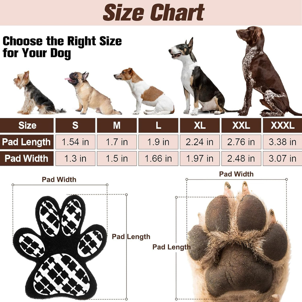 Dog wearing Beautyzoo anti-slip paw grips on hardwood floor