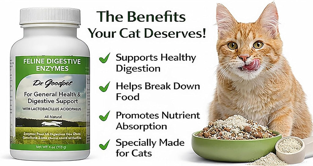 Authentic Dr. Goodpet 4 Ounce cat digestive enzyme powder mixed into feline wet food.
