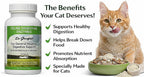 Authentic Dr. Goodpet 4 Ounce cat digestive enzyme powder mixed into feline wet food.