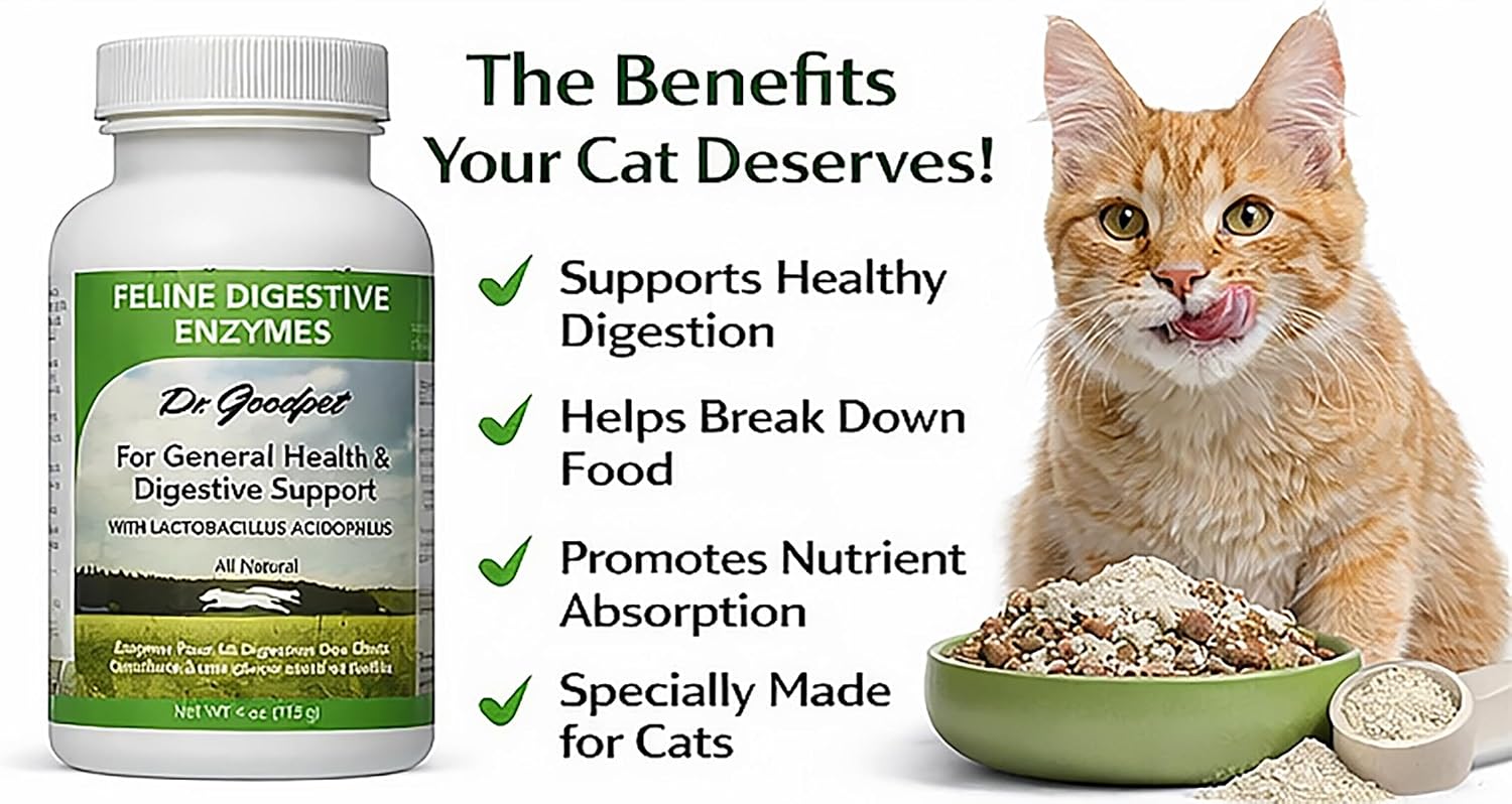 Authentic Dr. Goodpet 4 Ounce cat digestive enzyme powder mixed into feline wet food.