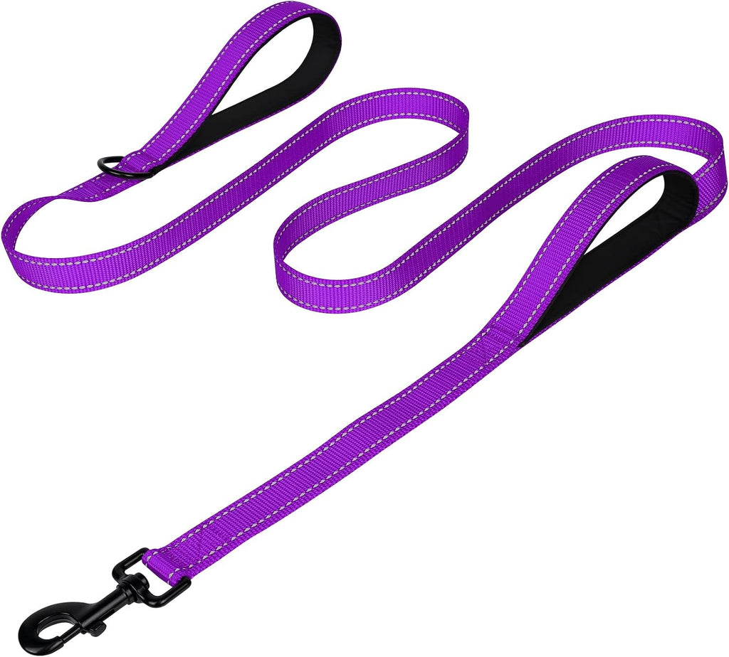 Joytale black padded leash for training medium large dogs securely.