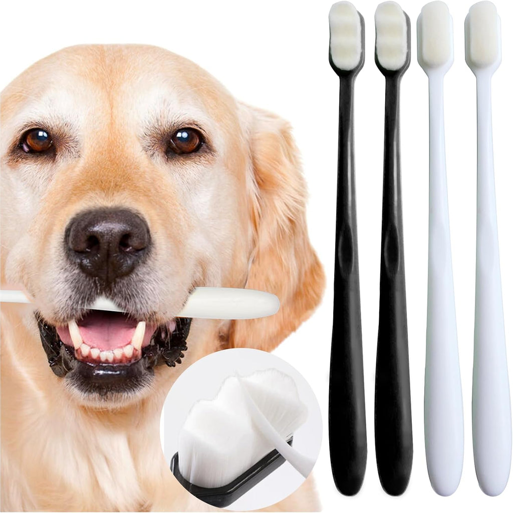 MoonyMars dental care kit for sensitive pet teeth