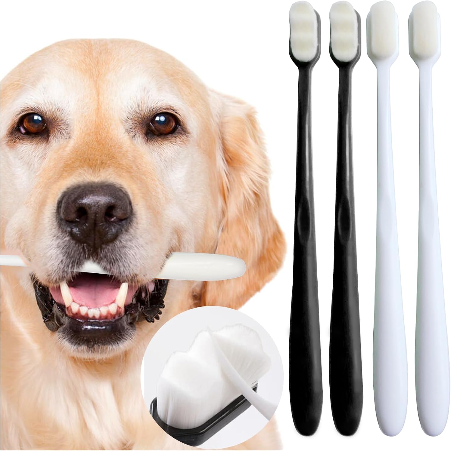 MoonyMars dental care kit for sensitive pet teeth