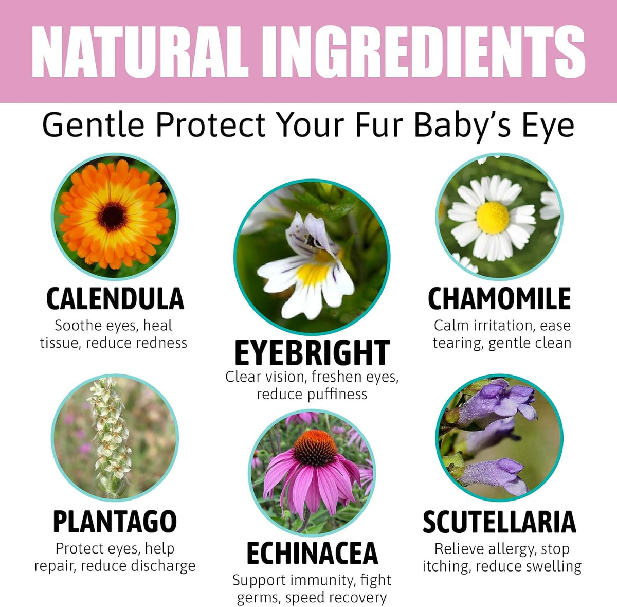 USA imported eye care powder for livestock and horses showing nutritional facts
