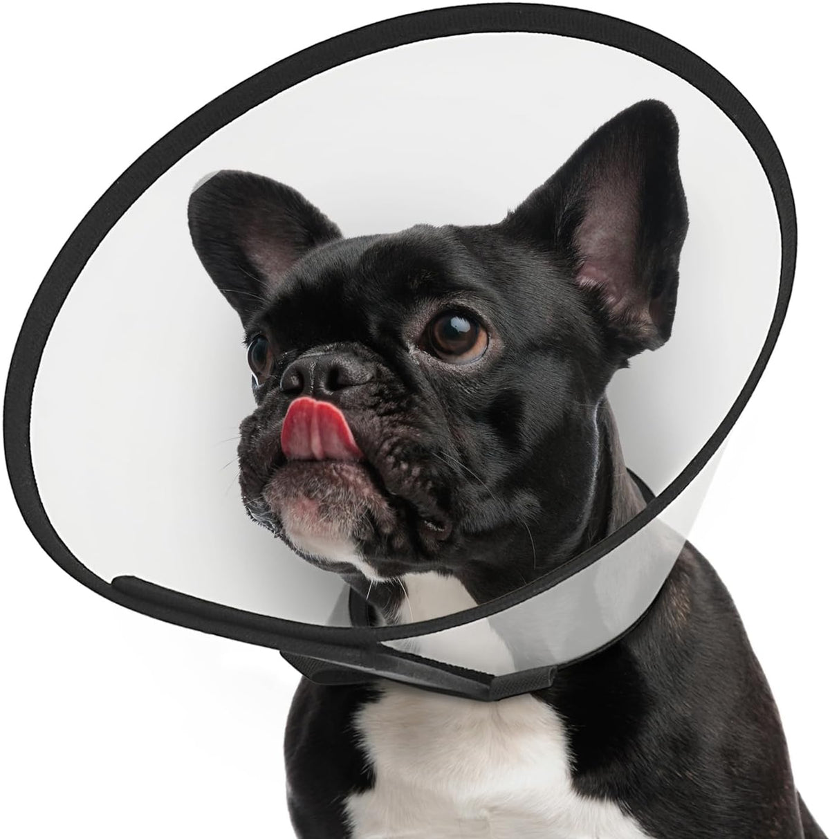 Supet Dog Cone Collar After Surgery to Stop Licking: Adjustable Recovery Elizabeth Collar Alternative for Large Medium Small Dogs, Plastic Pet Head Neck Cone (XS) - Image 11