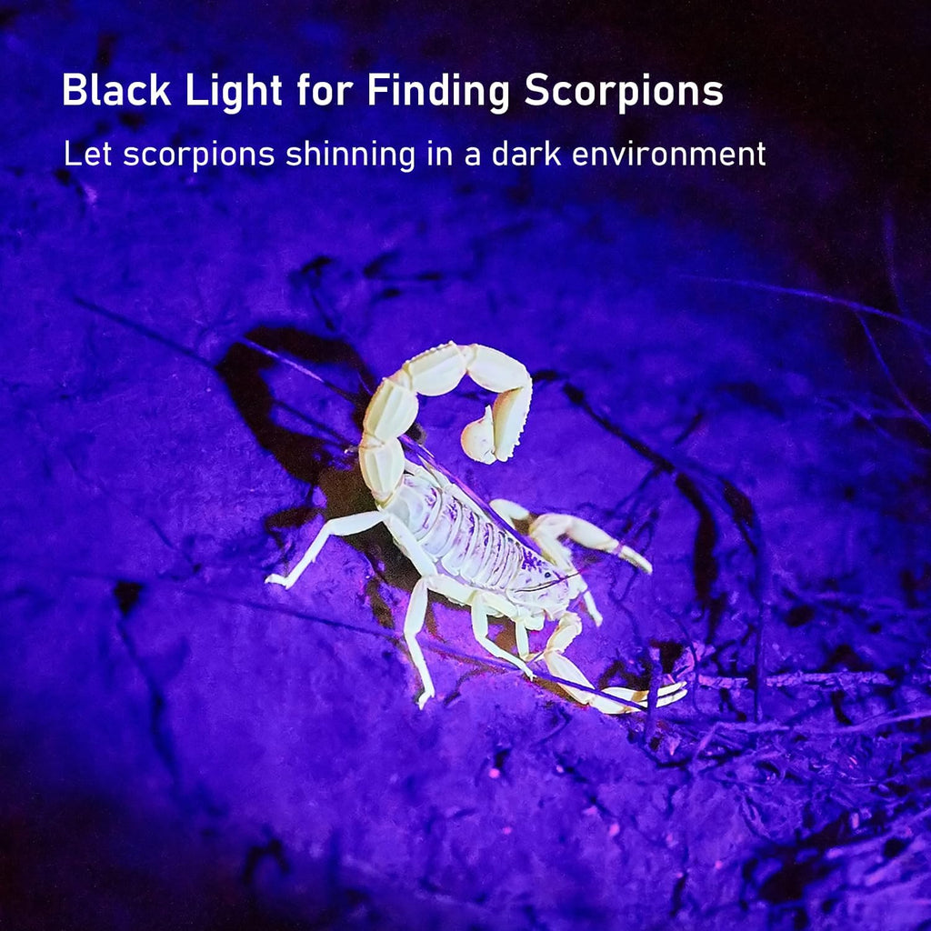 GLOSSDAY professional black light spotting a glowing scorpion outdoors in the dark.