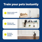 PetSafe SSSCAT training tool for protecting furniture