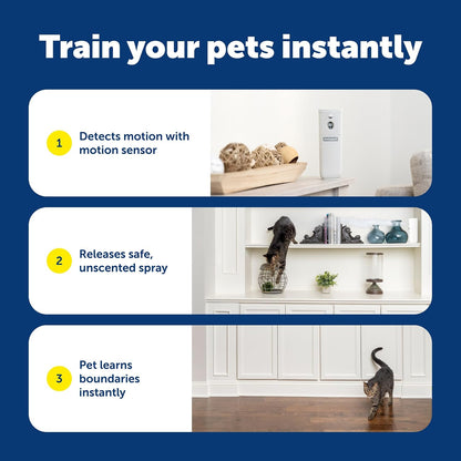 PetSafe SSSCAT training tool for protecting furniture