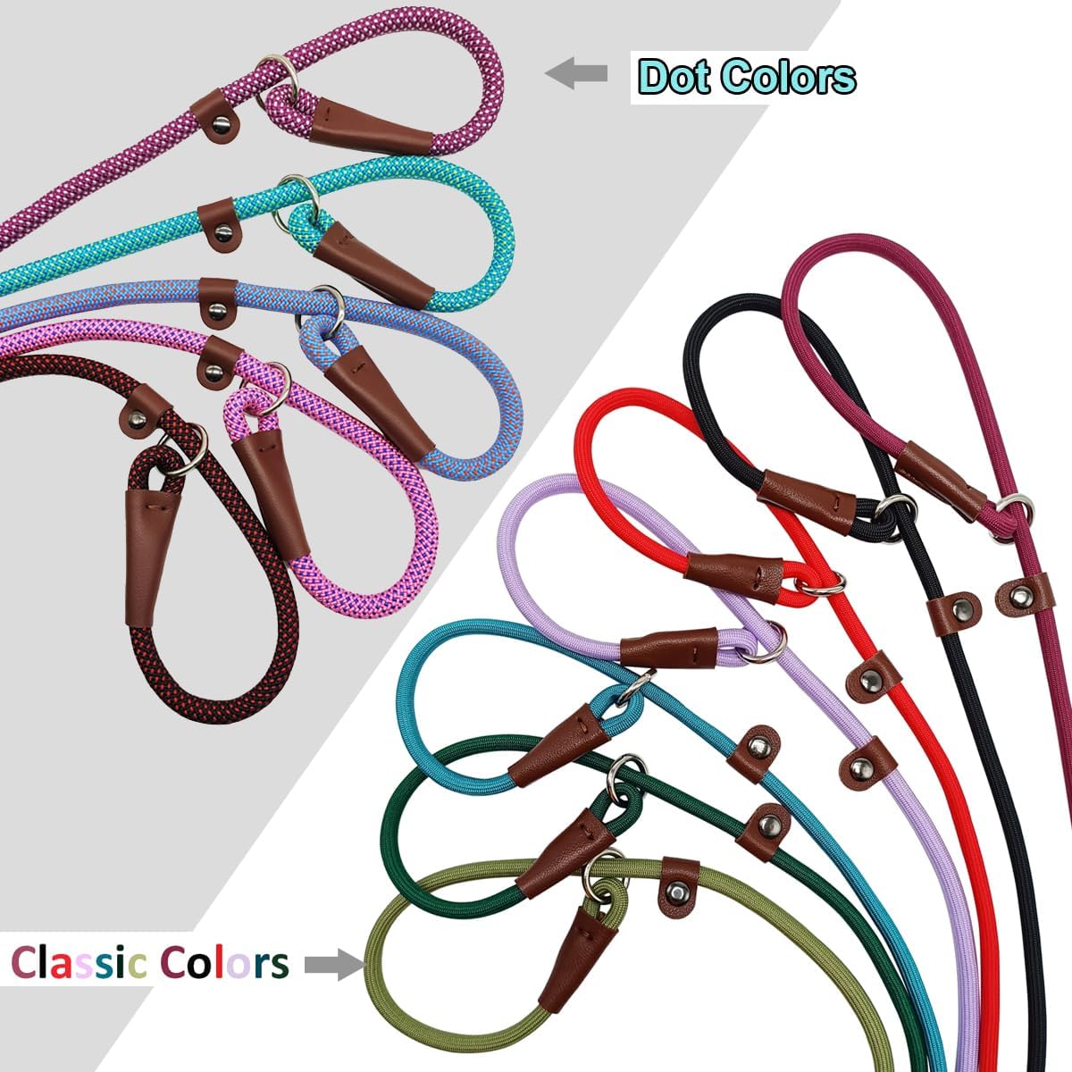 BTINESFUL British style two in one collar and leash set up for outdoor pet training