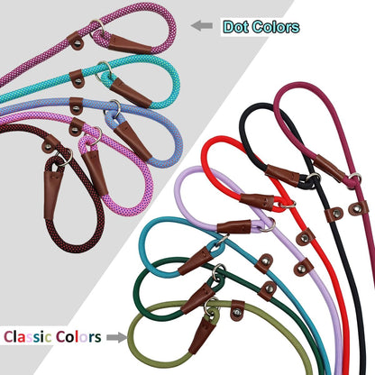 BTINESFUL British style two in one collar and leash set up for outdoor pet training