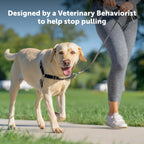 PetSafe Easy Walk dog harness front view