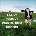 Creative Science external wart removal aid product display