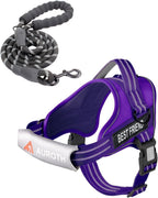 AUROTH Dog Harness and Leash Set, Soft Padded Service Dog Vest with 5.25FT Dog Leash, No Choke, Easy On Pet Vest, Adjustable Reflective No Pull Dog Harness for Large Dogs, Easy Walking and Training - Image 12