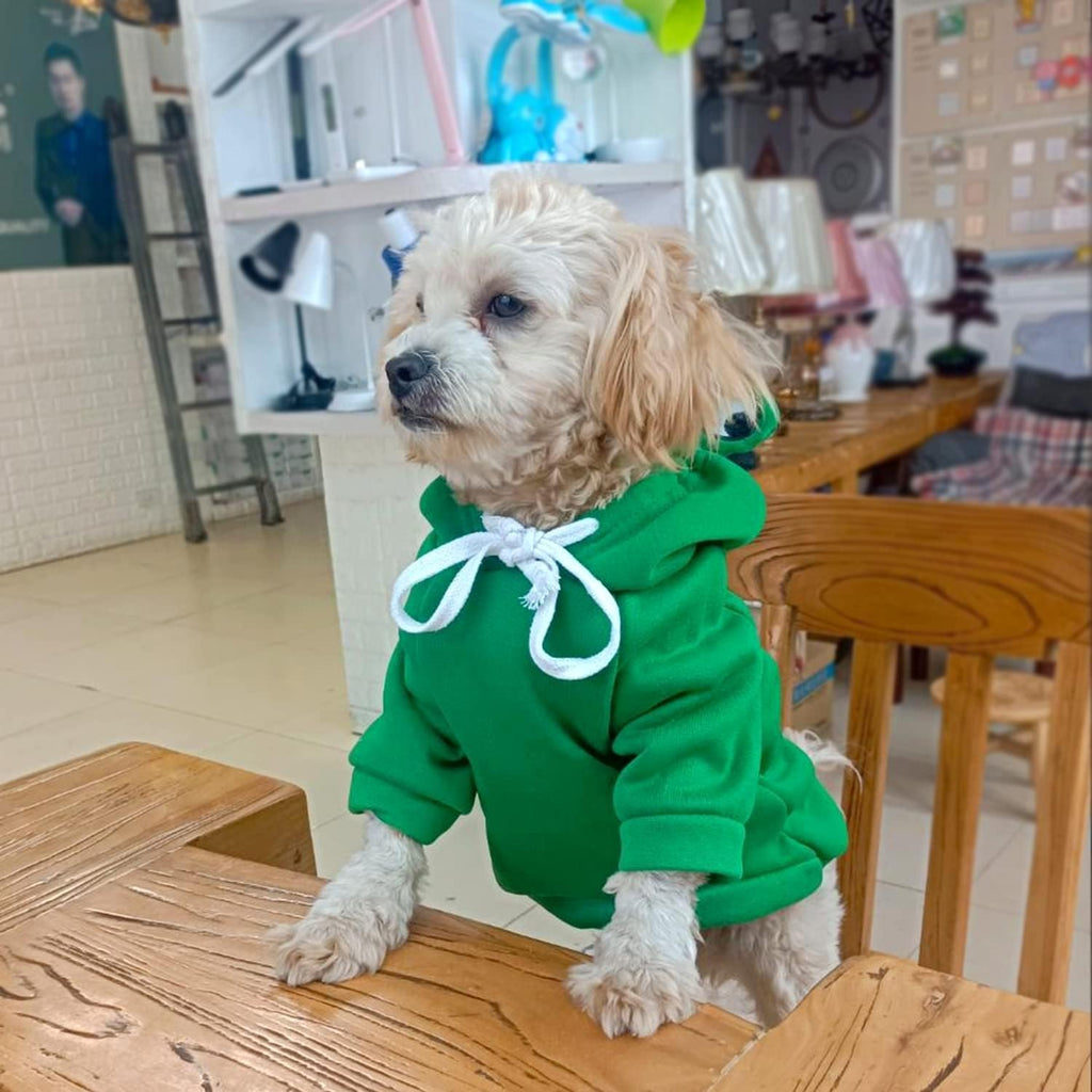 Back view of cute frog hooded jacket for small dogs
