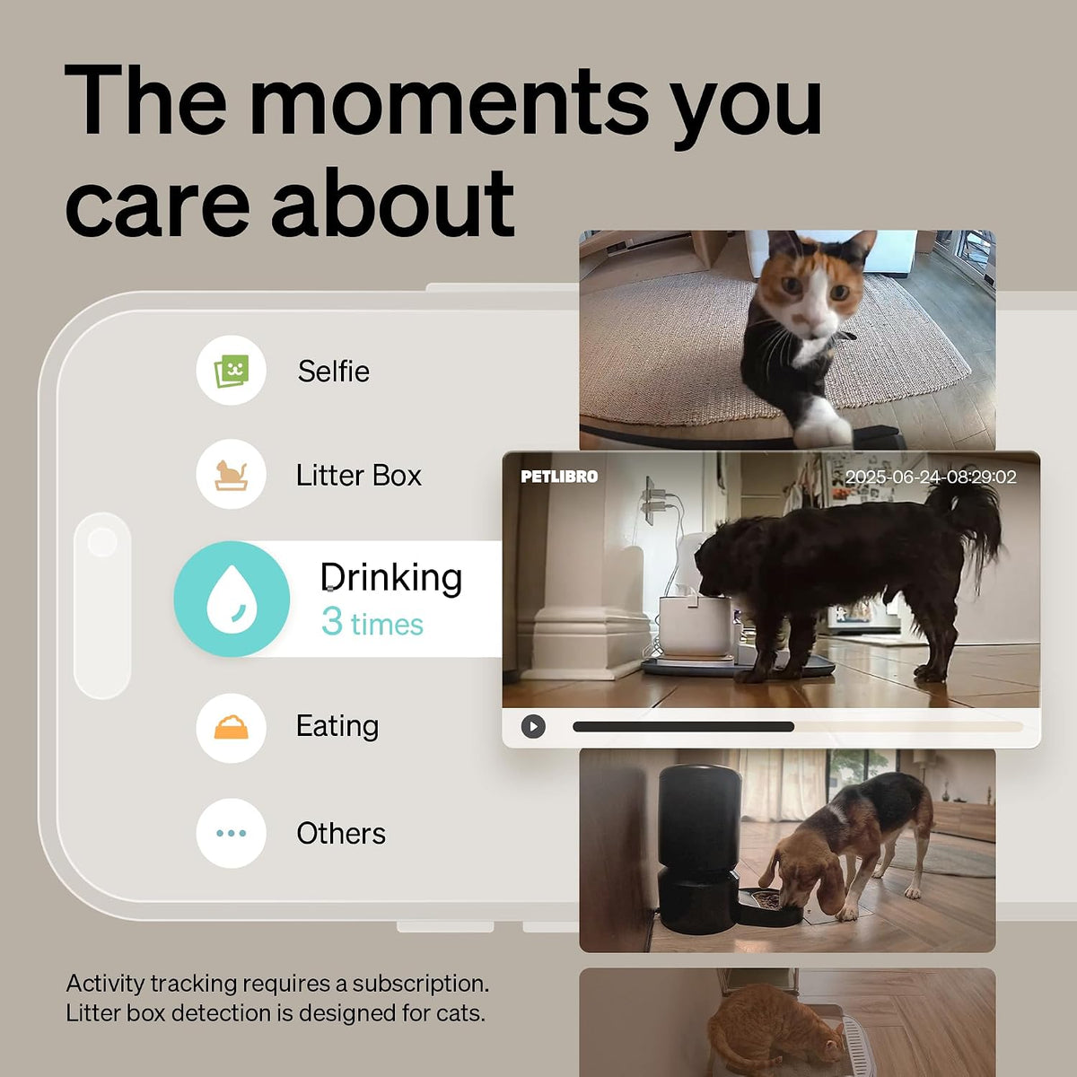 Petlibro AI camera tracking dog in indoor environment
