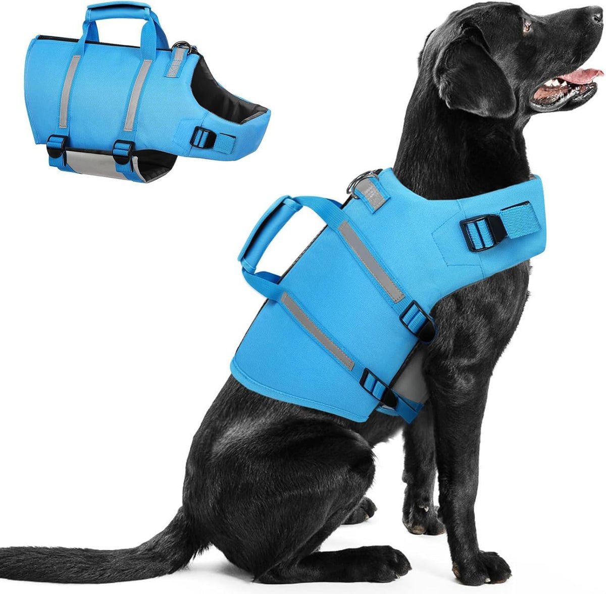 Queenmore dog life jacket blue large front view high buoyancy pet safety vest