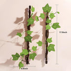 Flexible jungle vines coiled inside terrarium habitat