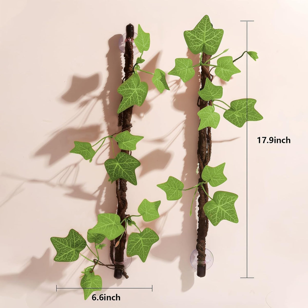 Flexible jungle vines coiled inside terrarium habitat