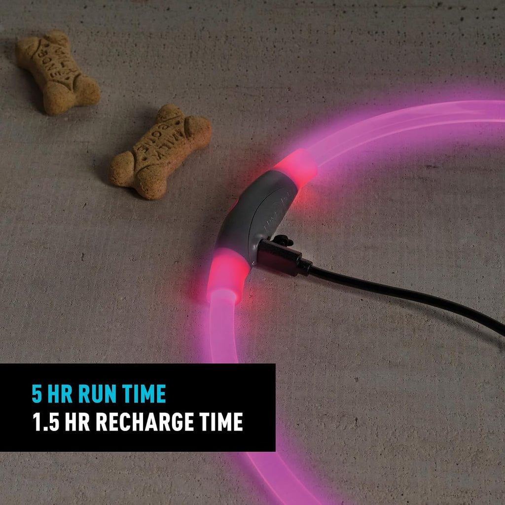 Nite Ize pink rechargeable safety necklace glowing on a dog at night