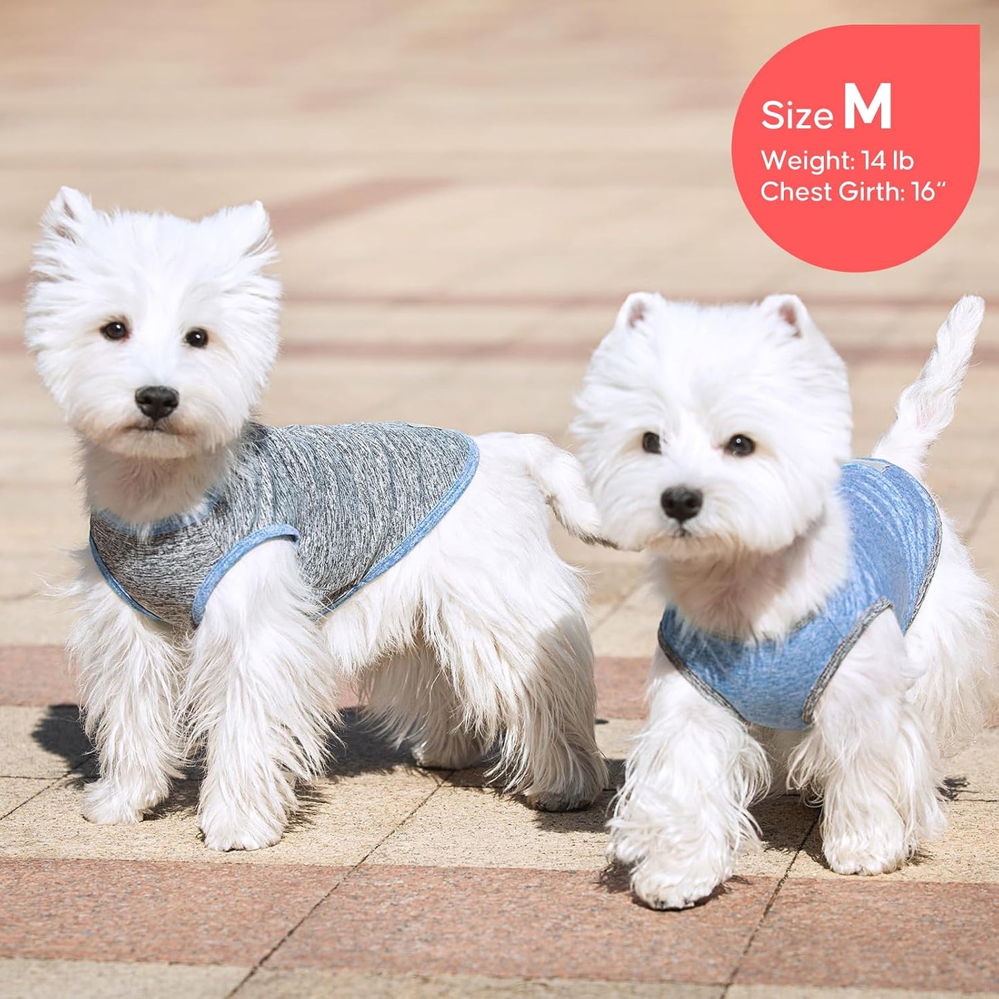 Kyeese pet apparel packaging and product set