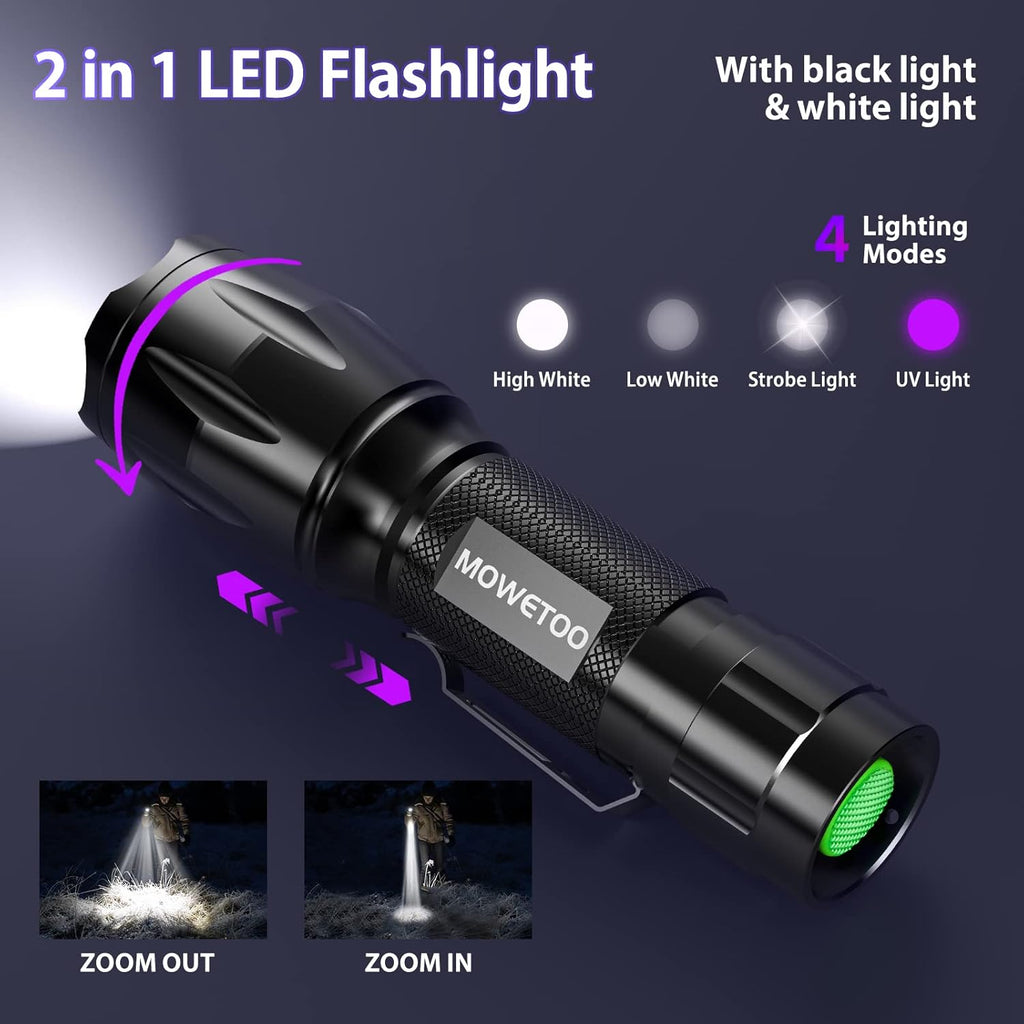 Portable blacklight torch exposing hidden pet dog urine stains on a living room carpet.