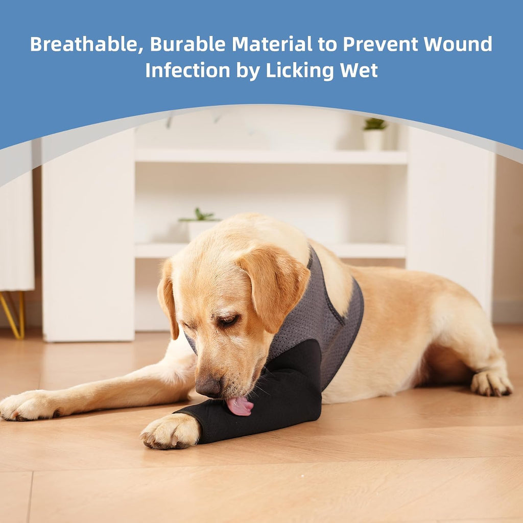 Side view of large dog wearing comfortable alternative to cone collar