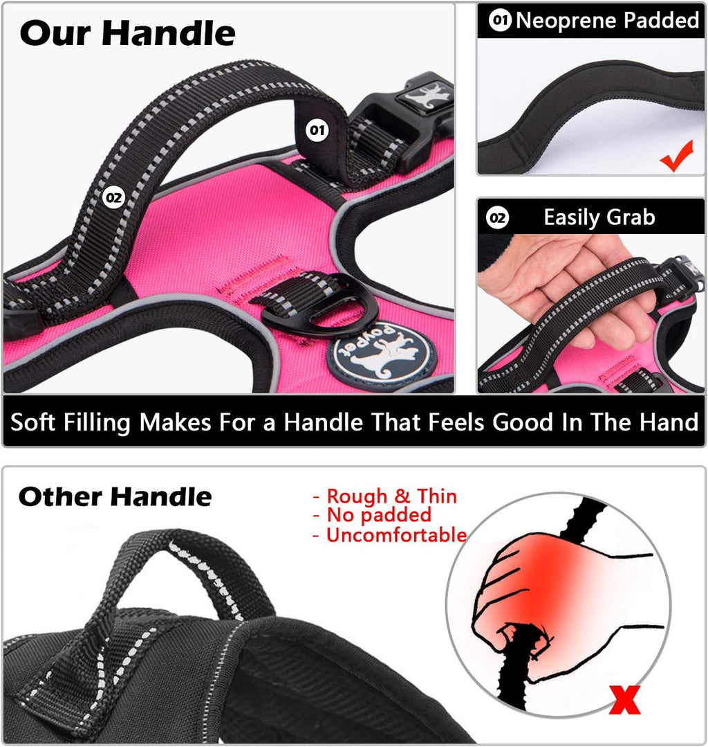 PoyPet harness showing front and back leash attachment points