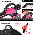 PoyPet harness showing front and back leash attachment points