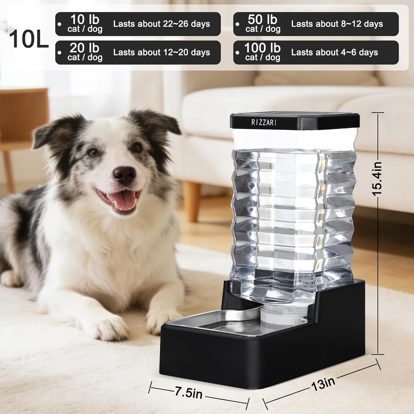 Rizzari large capacity pet waterer stainless steel bowl