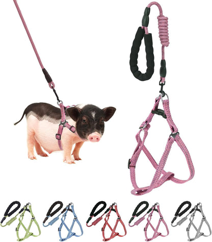 YeeBeny adjustable mini pig harness and leash set in pink front view