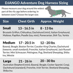 Django adventure dog harness showing adjustable side buckles