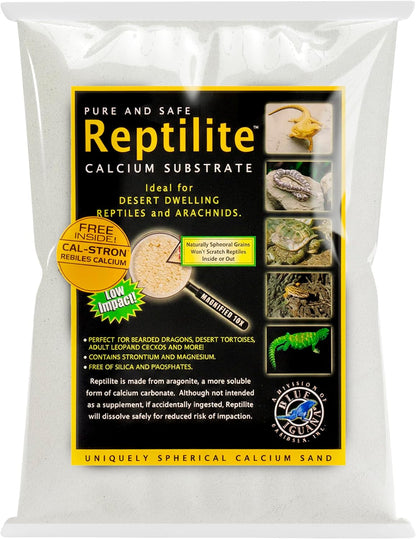 Carib Sea Reptilite sand used in a desert reptile terrarium setup