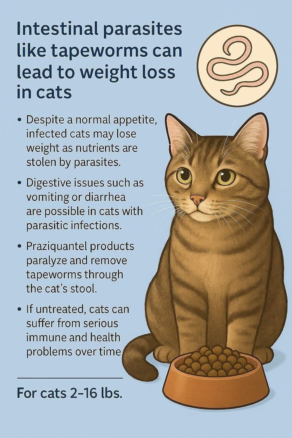 Imported Nemacor deworming tablets for cats showing back packaging and weight dosage guide