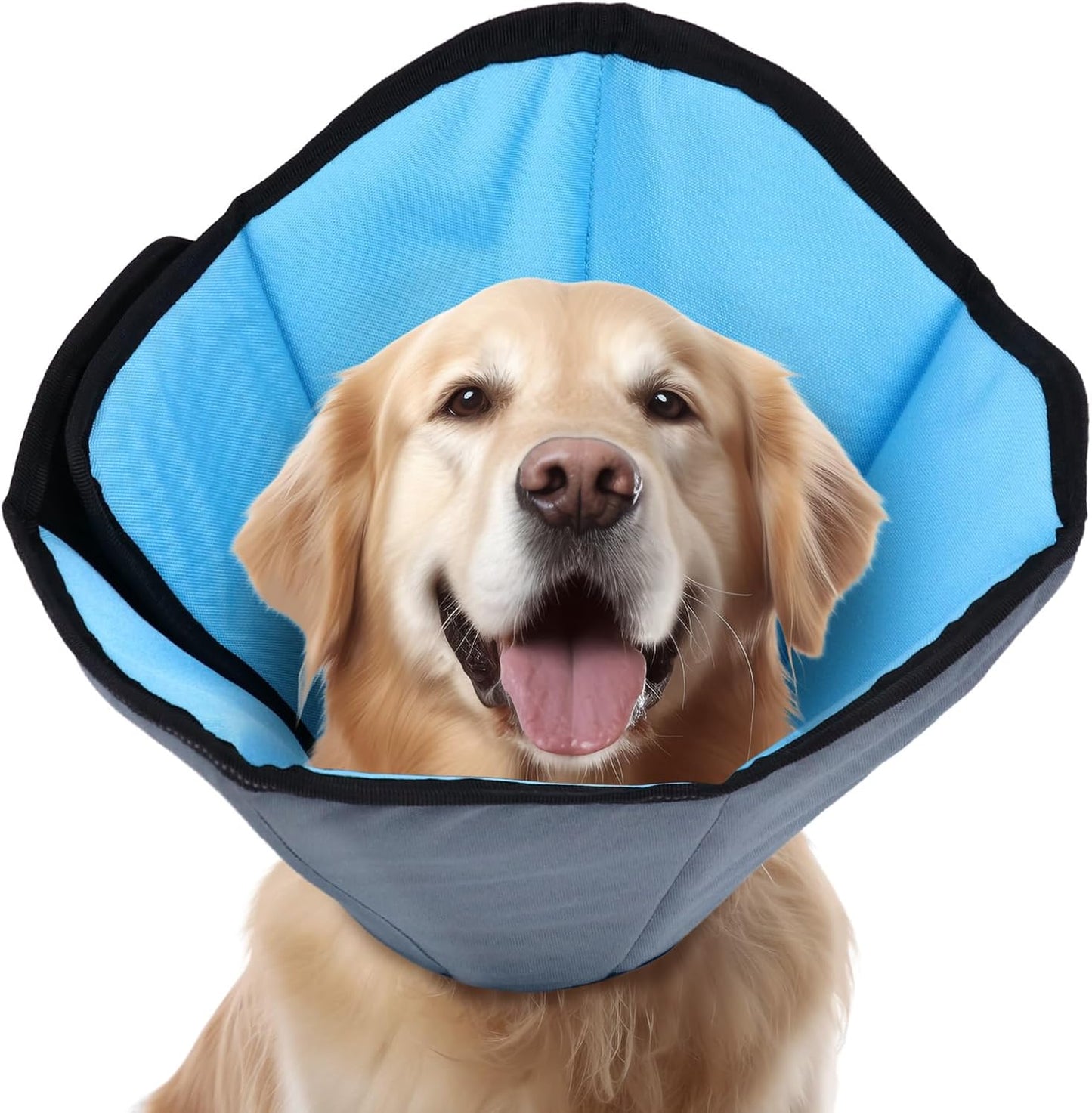 Ipetstation dog cone collar front view of blue and gray soft recovery cone on a large dog.