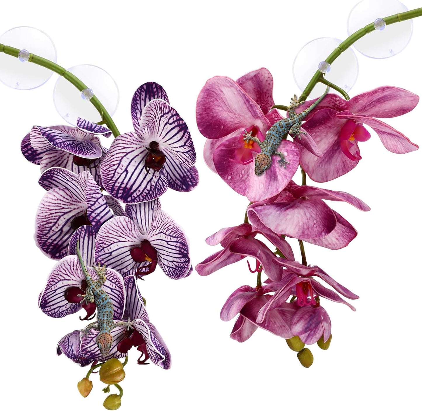 Chuangdi 2 Pieces Artificial Phalaenopsis with Suction Cups Terrarium Plant Decoration Reptile Habitat Plant Decor for Hermit Crab Lizards Geckos Snake Reptile (Dark Pink, White Yellow) - Image 9