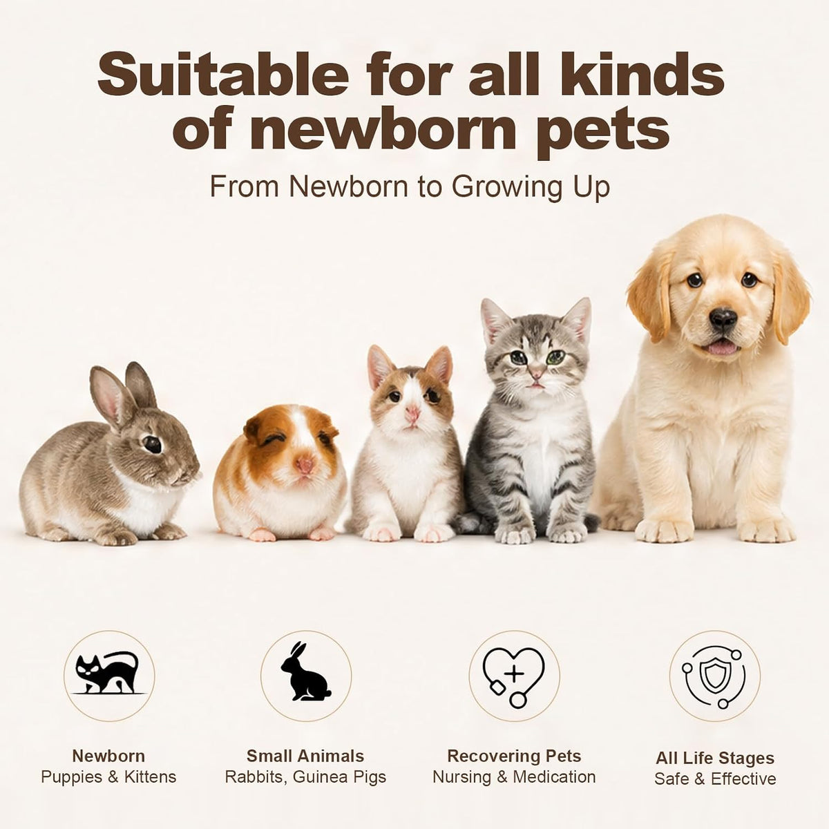 Premium imported pet feeding accessories for hand rearing kittens and puppies