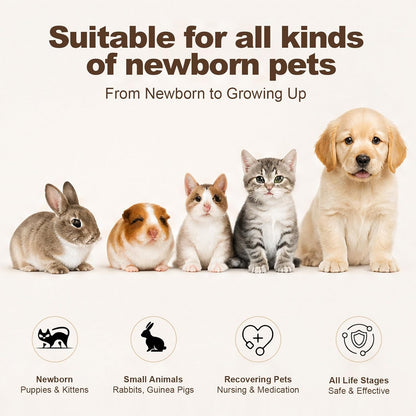 Premium imported pet feeding accessories for hand rearing kittens and puppies